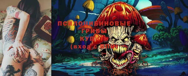 спайс Беломорск