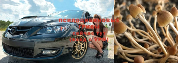 спайс Беломорск